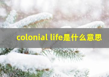 colonial life是什么意思